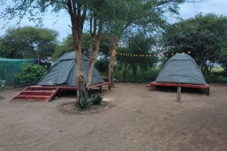 Tlou Tribal Lodge -  - 7