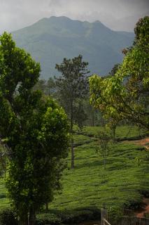 The Twenty 2 By Booking Wayanad - 7