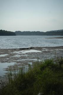 Mitti and More - 9