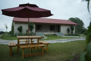 Mitti and More - 7