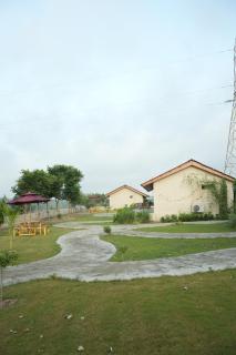 Mitti and More - 1
