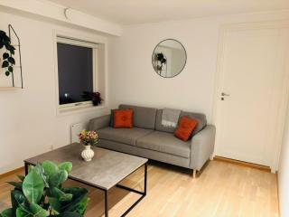 Cozy Aurora View Apartments - Entire 3-Bedroom Fully Furnished Near City Centre - 7
