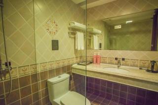 Anshan Camilla Business Hotel - 4