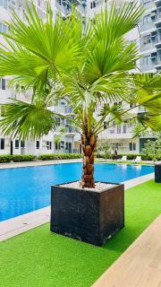 Homey Haven 1 at SMDC Style Condo - 5