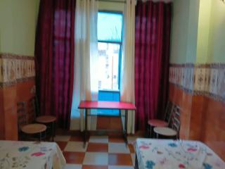 Bhasin Home Stay - 1