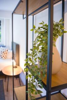 Neo Apartment- 3 Betten- WLAN- Waschmachine- Parkplatz - 2