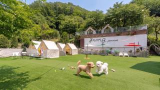 Gapyeong Jmong Choncance&Camping Pension - 9