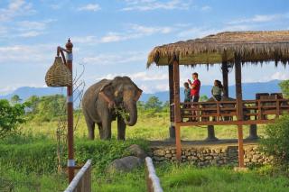 Sapana Village Lodge - 9