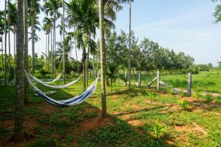 SaffronStays Thrya Farm - 6