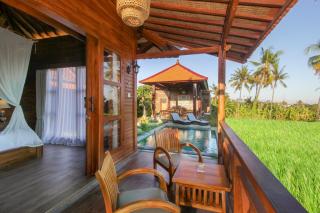 Dapha Eco Lodge Lovina - 7