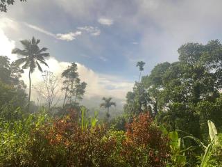 The Mountain Villa - 1