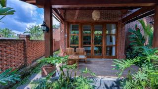 Dapha Eco Lodge Lovina - 3