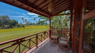 Dapha Eco Lodge Lovina - 0