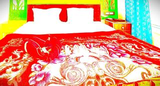 Hotel The SUV In Puri - 1