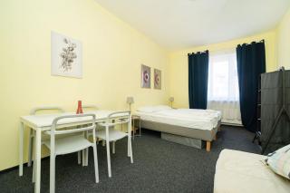 Flat in Zizkov -402- - Prague - 8