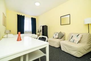 Flat in Zizkov -402- - Prague - 0