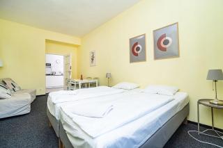 Flat in Zizkov -402- - Prague - 9