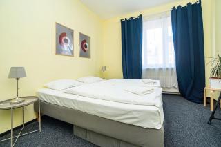 Flat in Zizkov -402- - Prague - 6