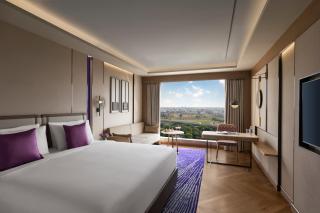 Vivanta Indore Amaltas - 8