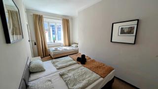 Flat in Zizkov -401- - Prague - 4