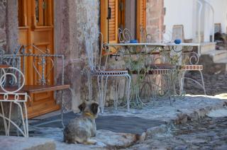 Fragrante Hotel - Adult Only (+13) - Ayvalık - 8