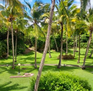 Studio cosy à Saint-François - 21 m² avec balcon et piscine - 5