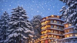 Hotel Taj By Himachal Stay - 1