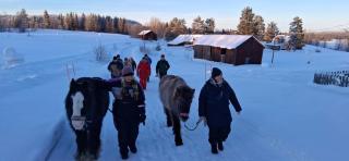 Swedish Paradise Garden & Lake BED & BREAKFAST - 4
