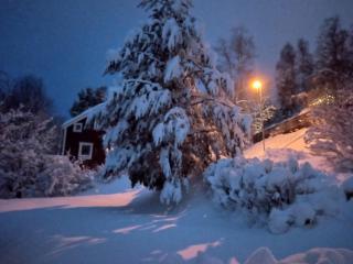 Swedish Paradise Garden & Lake BED & BREAKFAST - 1