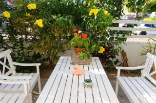 Charmant studio à La Trinité 30 m² avec jardin privé - 3