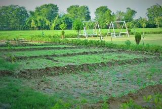 ranthambhore nature farm - 2