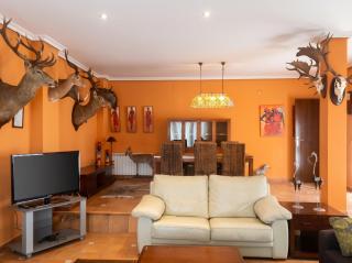 Luxurious Villa in Arcas with Private Pool - 1