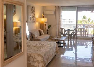 Cozy Studio in Saint-Martin, 38 m² with Pool - 1