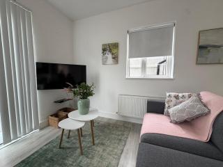 Renovated 1BDR with Private Garden in Dublin 12 - 4