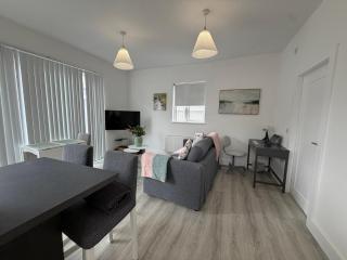 Renovated 1BDR with Private Garden in Dublin 12 - 2