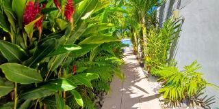 Bungalow accueillant à Bouillante avec piscine privée - 7