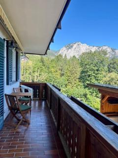 Salzberg Stüberl - Bergblick mit Grillhütte - 3