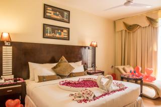 The Red Maple Mashal - 1