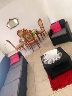 Appartement spacieux aux Abymes avec vue sur la montagne - 8