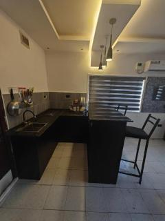 Serviced Apartment in Abuja - 7