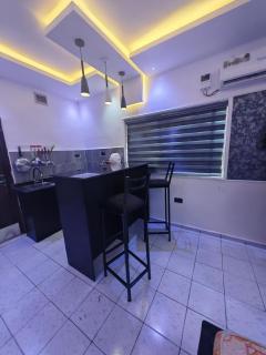 Serviced Apartment in Abuja - 6