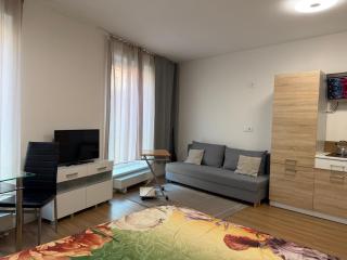 Apartment Brno centrum with private parking - 7