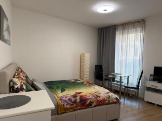 Apartment Brno centrum with private parking - 6