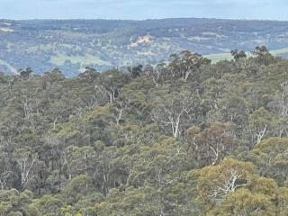 Peaceful Lower Chittering Escape - Scenic valley views on Private Acreage - 4