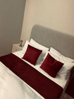 3BHK Apartment next to giga mall - 4