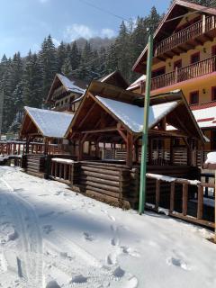 Vila Valea Cascadelor - 4