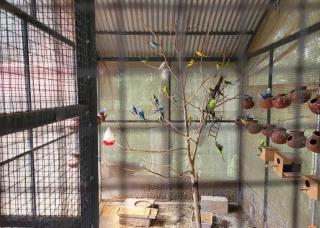 Gigis Nest, The True Homestay - 1