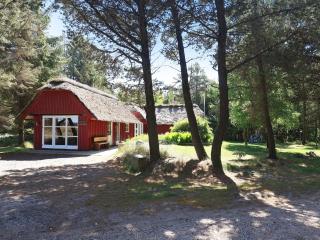 4 star holiday home in Blåvand - 0