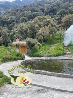 Quinde Ñan Lodge - 6