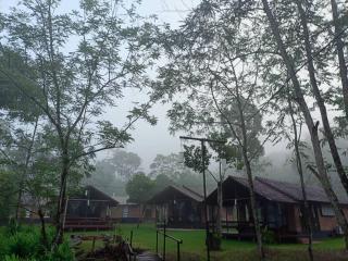 Glamping at Kongkoi - 0